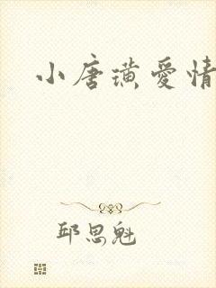 小唐璜爱情历史封面