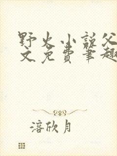 野火小说父女全文免费笔趣阁