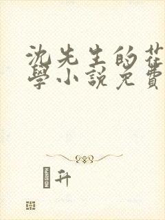 沈先生的花式教学小说免费封面