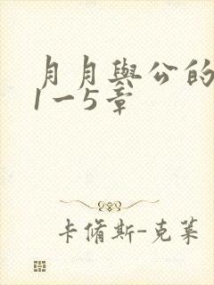 月月与公的激情1一5章