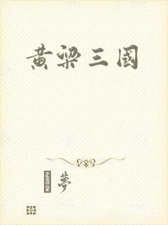 黄粱三国封面