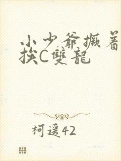 小少爷撅着屁股挨C双龙封面