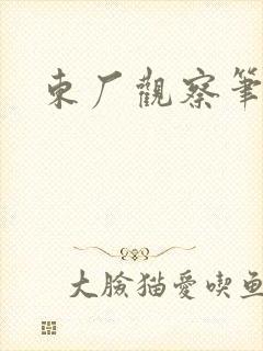 东厂观察笔记封面