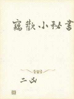 窃欢小秘书