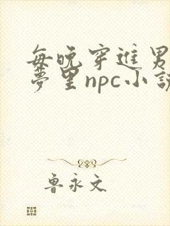 每晚穿进男神的梦里npc小说