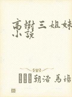 高树三姐妹有声小说封面