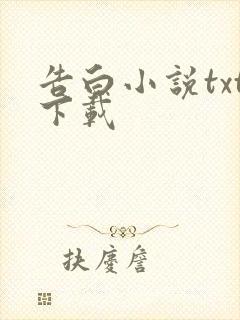 告白小说txt下载