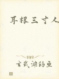 耳根三寸人间封面