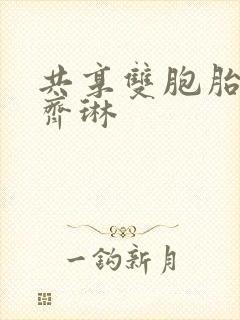 共享双胞胎齐娜齐琳封面