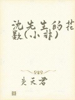 沈先生的花式调数(小非)