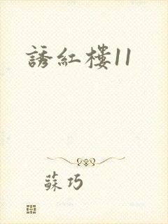 诱红楼11封面