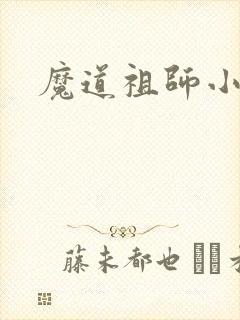 魔道祖师小说封面