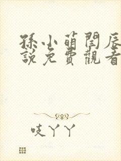 孙小萌闫辰的小说免费观看封面