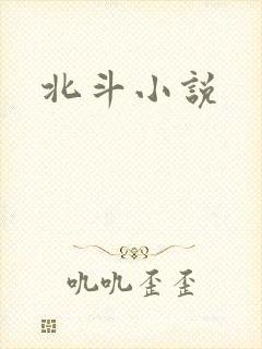 北斗小说