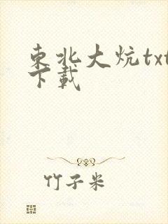 东北大炕txt下载封面