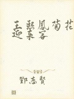 王熙凤菊花门初迎来客