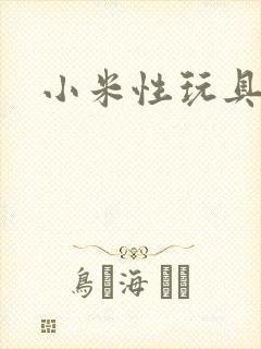 小米性玩具日记