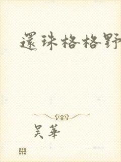 还珠格格野传封面