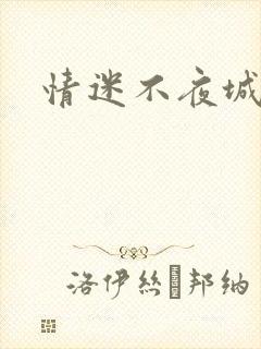 情迷不夜城