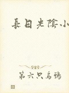 长日光阴小说