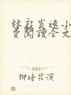 林毅肖远小说免费阅读全文最新章节