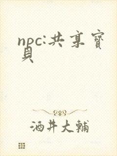 npc:共享宝贝