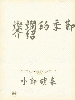 灿烂的季节剧情介绍