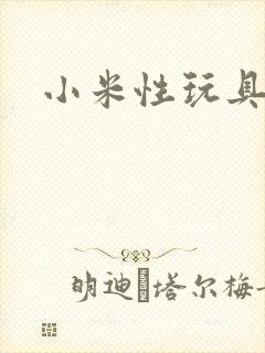 小米性玩具日记封面