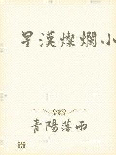 星汉灿烂小说