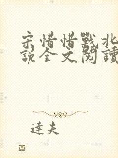 宋惜惜战北望小说全文阅读封面