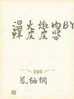 温火炖肉BY海鲜皮皮酱