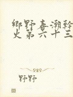 乡野春潮干柴烈火第六十三章封面