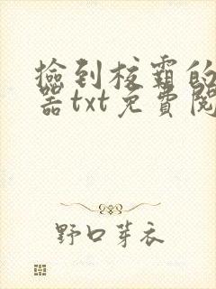 捡到校霸的遥控器txt免费阅读