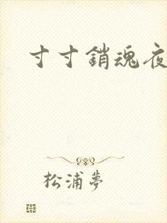 寸寸销魂夜春光