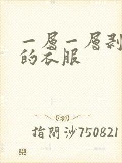 一层一层剥开我的衣服封面