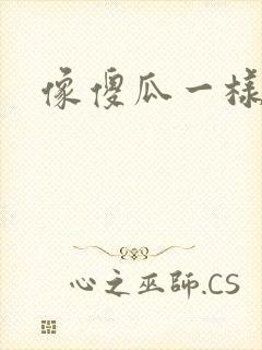 像傻瓜一样去爱封面