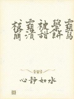 校霸被学霸玩到崩溃甜饼写手