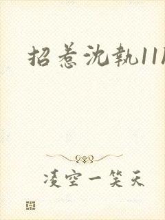 招惹沈执11h封面