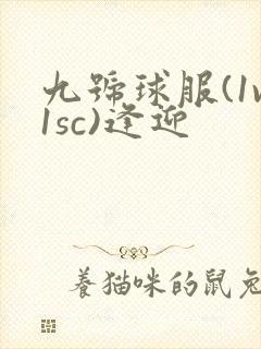 九号球服(1v1sc)逢迎