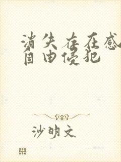 消失存在感消失自由侵犯