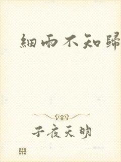 细雨不知归
