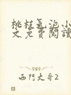 桃枝气泡小说全文免费阅读封面