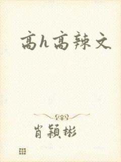 高h高辣文