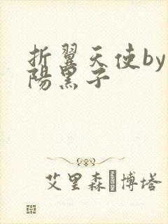 折翼天使by太阳黑子封面