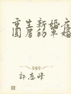 重生新婚夜正在圆房的军婚