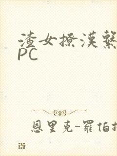 渣女撩汉系统NPC