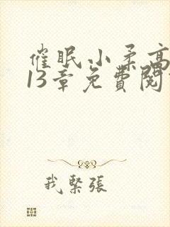 催眠小柔高达第13章免费阅读