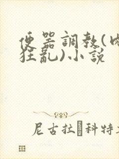 便器调教(肉体狂乱)小说封面