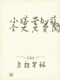 小瞎子by苏软全文免费阅读