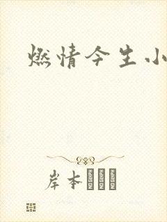 燃情今生小说